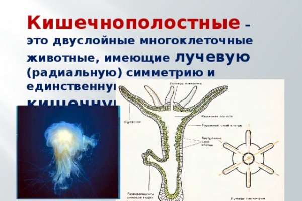 Кракен макет даркнет